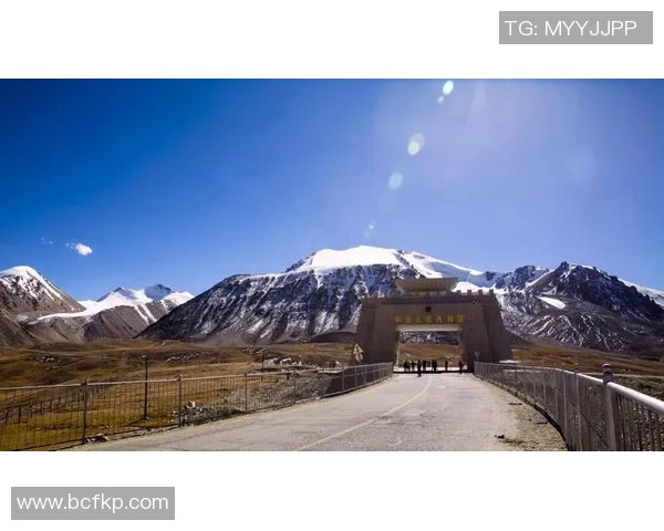 咪咕视频精彩对决广东队迎战新疆队全场精彩瞬间回顾与分析